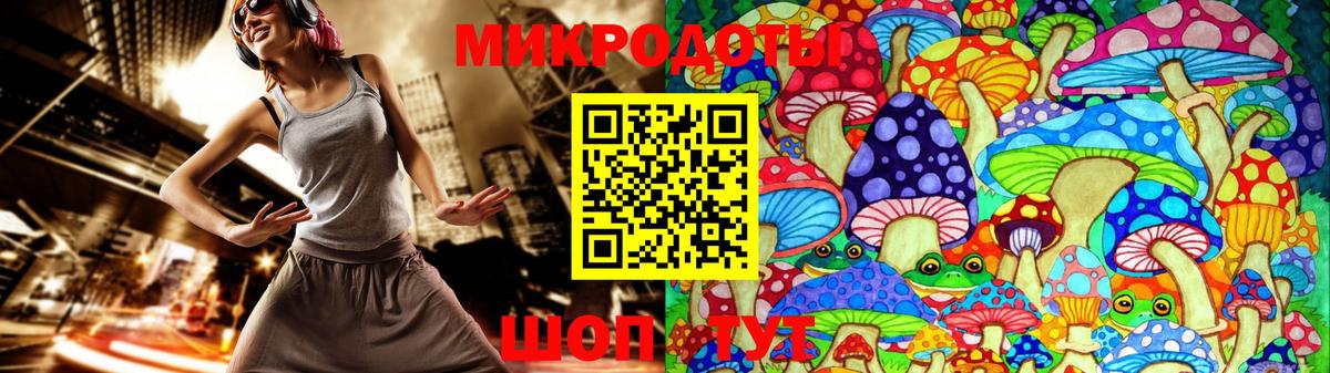 Псилоцибиновые грибы Psilocybe Новосибирск